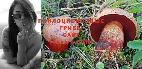 прущие крисы Наволоки