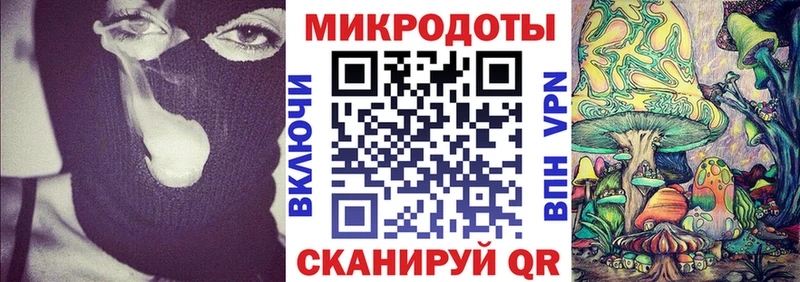 это клад  Щучье  Псилоцибиновые грибы GOLDEN TEACHER 